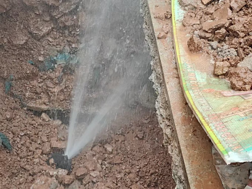 消防水管漏水检测定点开挖（兴安）